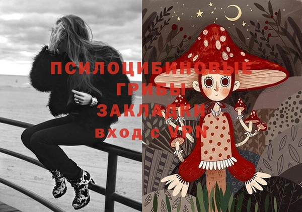прущие крисы Баксан