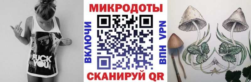 omg   Гремячинск  Псилоцибиновые грибы Cubensis 